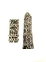 Correa D&G Crocodile D&GCINT - D&GCINT